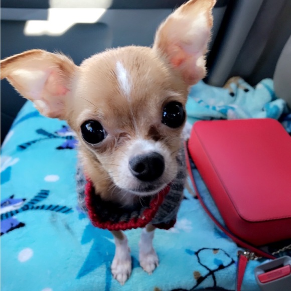 Marissa Sweet - Picture 2 of 3